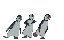 Tigrounet Pingoui3