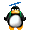 La plume Pingoui2